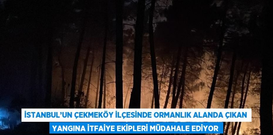 İSTANBUL’UN ÇEKMEKÖY İLÇESİNDE ORMANLIK ALANDA ÇIKAN YANGINA İTFAİYE EKİPLERİ MÜDAHALE EDİYOR
