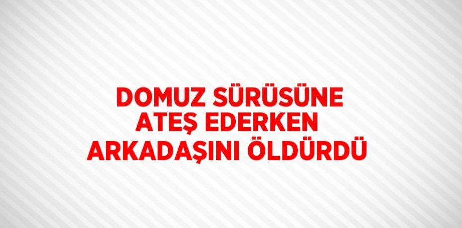 DOMUZ SÜRÜSÜNE ATEŞ EDERKEN ARKADAŞINI ÖLDÜRDÜ
