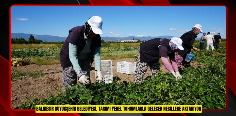 BALIKESİR BÜYÜKŞEHİR BELEDİYESİ, TARIMI YEREL TOHUMLARLA GELECEK NESİLLERE AKTARIYOR