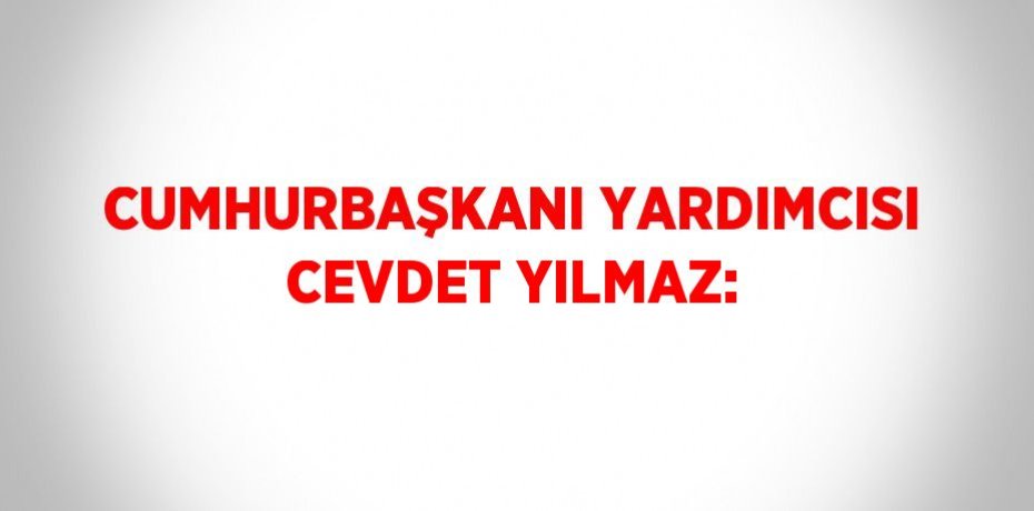 CUMHURBAŞKANI YARDIMCISI CEVDET YILMAZ: