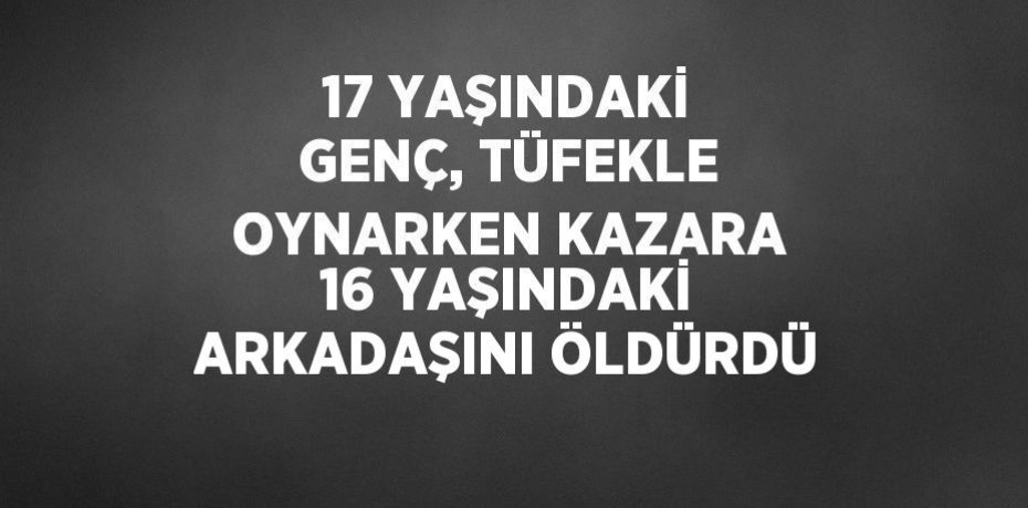 17 YAŞINDAKİ GENÇ, TÜFEKLE OYNARKEN KAZARA 16 YAŞINDAKİ ARKADAŞINI ÖLDÜRDÜ