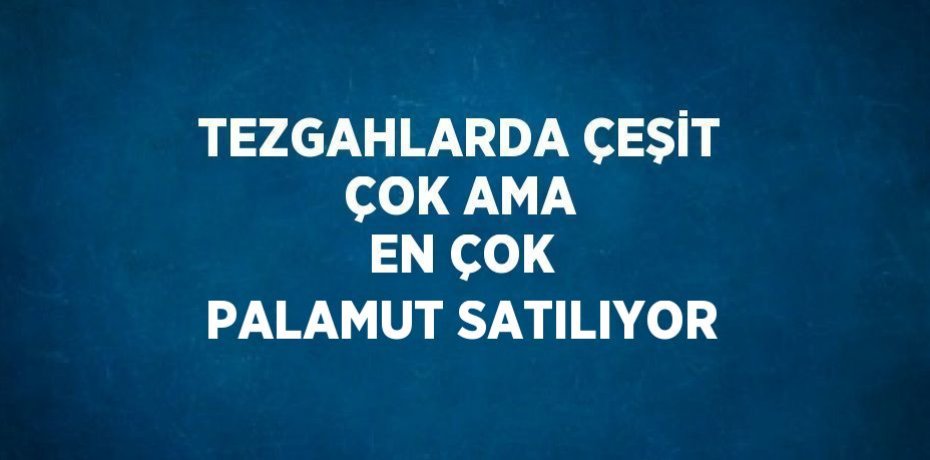 TEZGAHLARDA ÇEŞİT ÇOK AMA EN ÇOK PALAMUT SATILIYOR