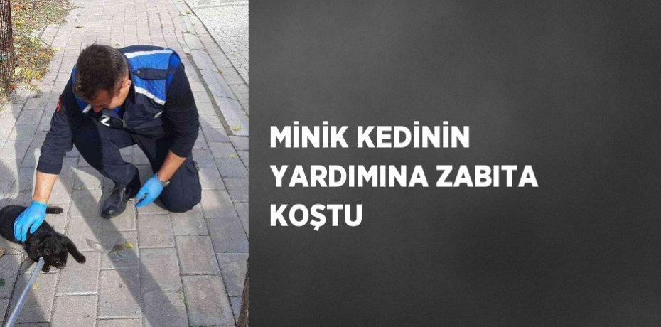 MİNİK KEDİNİN YARDIMINA ZABITA KOŞTU