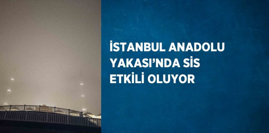 İSTANBUL ANADOLU YAKASI’NDA SİS ETKİLİ OLUYOR