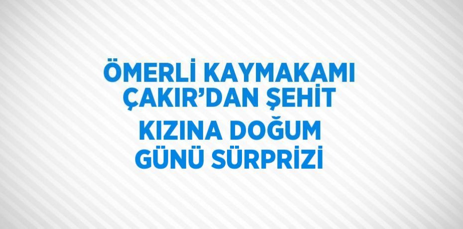 ÖMERLİ KAYMAKAMI ÇAKIR’DAN ŞEHİT KIZINA DOĞUM GÜNÜ SÜRPRİZİ