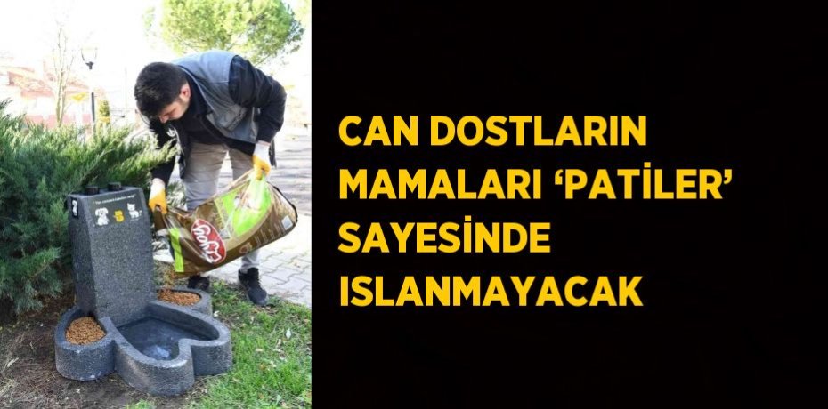 CAN DOSTLARIN MAMALARI ‘PATİLER’ SAYESİNDE ISLANMAYACAK