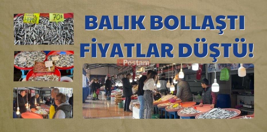 BALIK BOLLAŞTI FİYATLAR DÜŞTÜ!