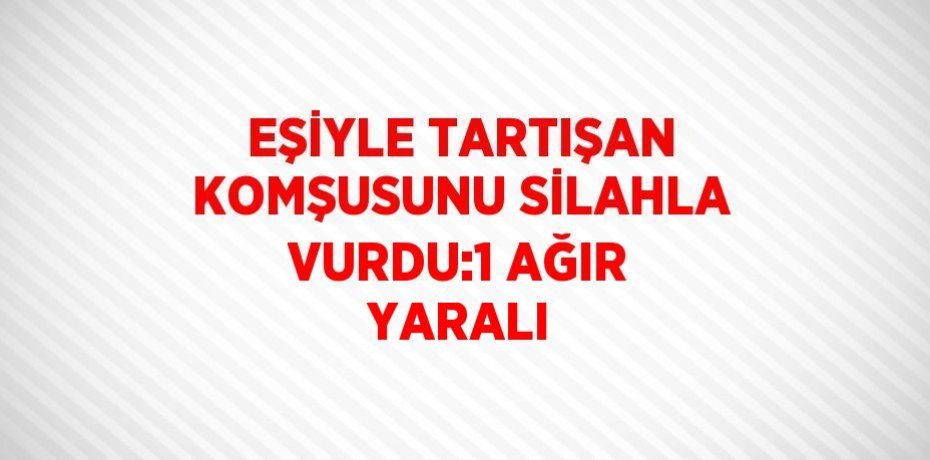 EŞİYLE TARTIŞAN KOMŞUSUNU SİLAHLA VURDU:1 AĞIR YARALI