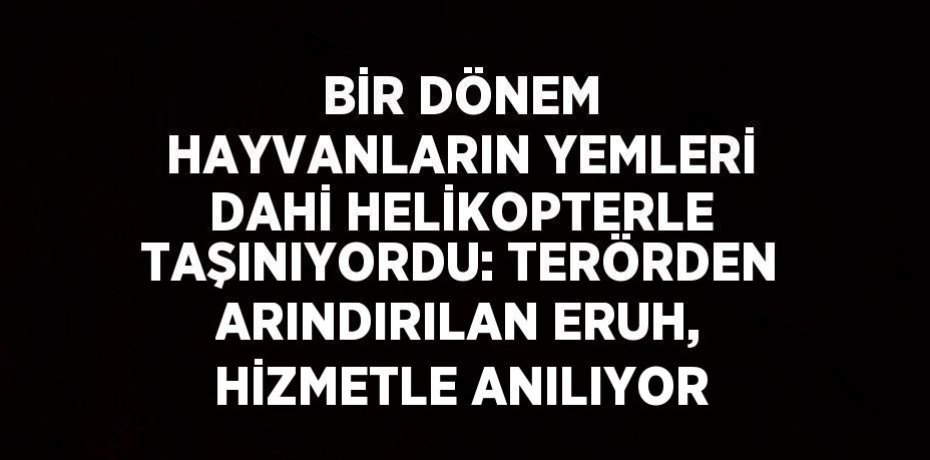 BİR DÖNEM HAYVANLARIN YEMLERİ DAHİ HELİKOPTERLE TAŞINIYORDU: TERÖRDEN ARINDIRILAN ERUH, HİZMETLE ANILIYOR