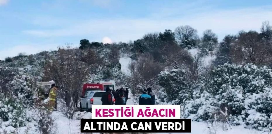 KESTİĞİ AĞACIN ALTINDA CAN VERDİ