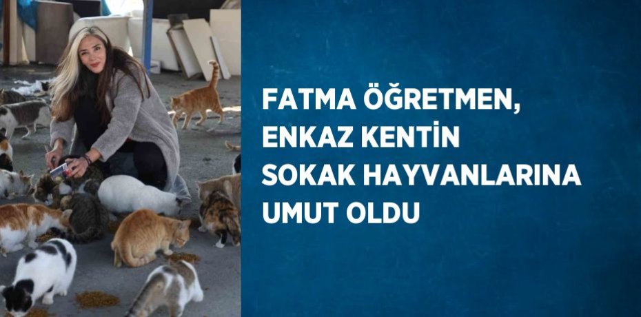 FATMA ÖĞRETMEN, ENKAZ KENTİN SOKAK HAYVANLARINA UMUT OLDU