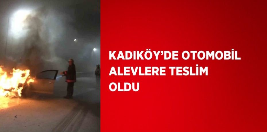 KADIKÖY’DE OTOMOBİL ALEVLERE TESLİM OLDU