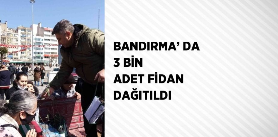 BANDIRMA’ DA 3 BİN ADET FİDAN DAĞITILDI