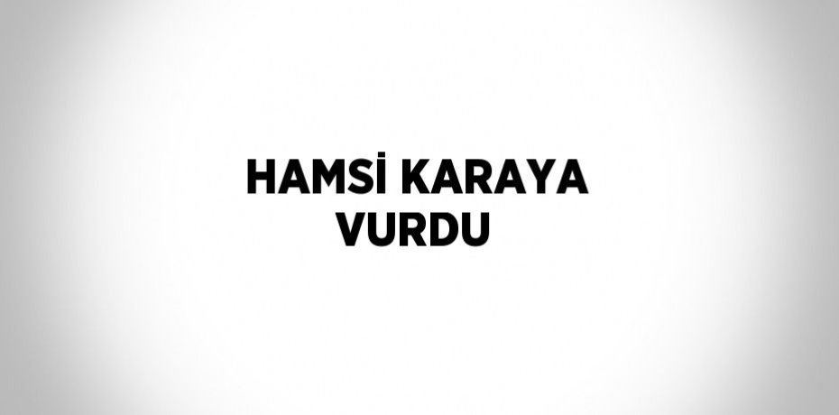 HAMSİ KARAYA VURDU