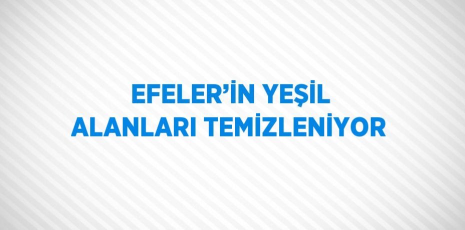 EFELER’İN YEŞİL ALANLARI TEMİZLENİYOR