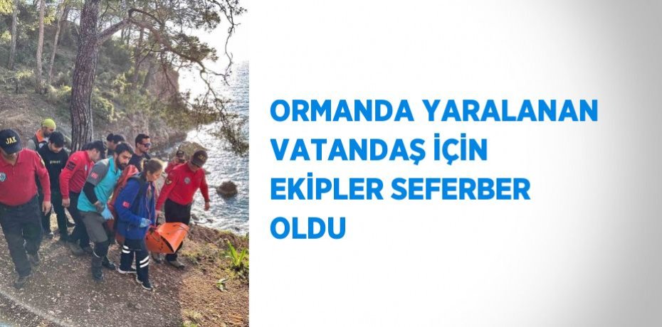 ORMANDA YARALANAN VATANDAŞ İÇİN EKİPLER SEFERBER OLDU