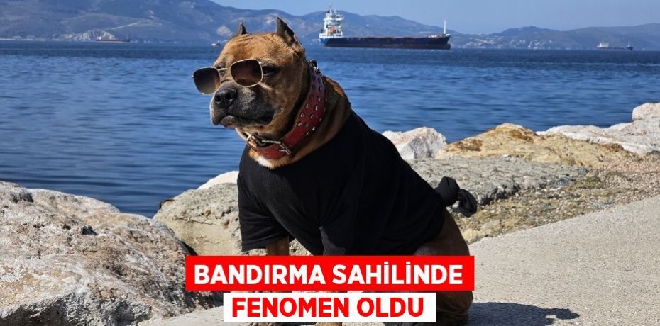 Bandırma sahilinde fenomen oldu