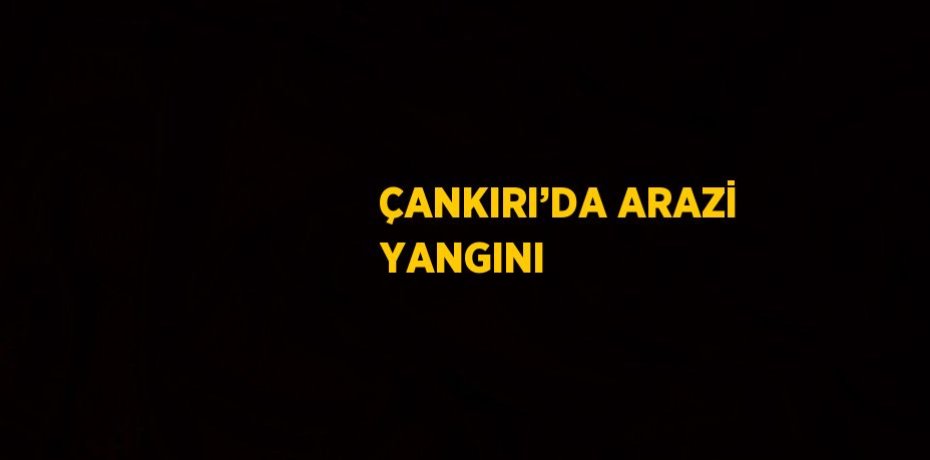 ÇANKIRI’DA ARAZİ YANGINI