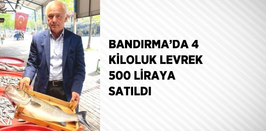 BANDIRMA’DA 4 KİLOLUK LEVREK 500 LİRAYA SATILDI