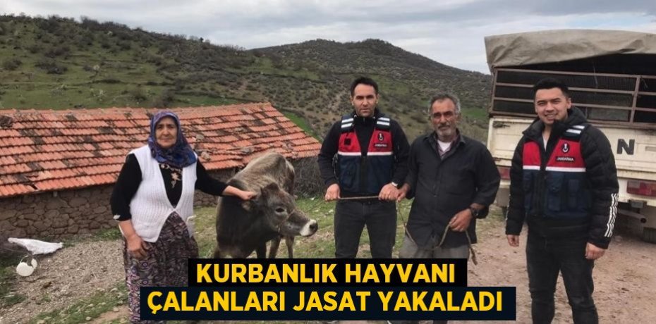 Kurbanlık hayvanı çalanları JASAT yakaladı