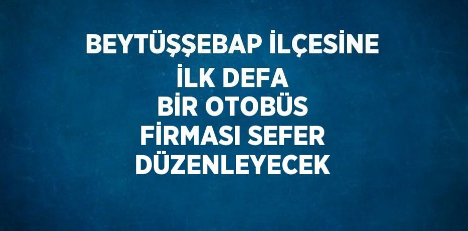 BEYTÜŞŞEBAP İLÇESİNE İLK DEFA BİR OTOBÜS FİRMASI SEFER DÜZENLEYECEK