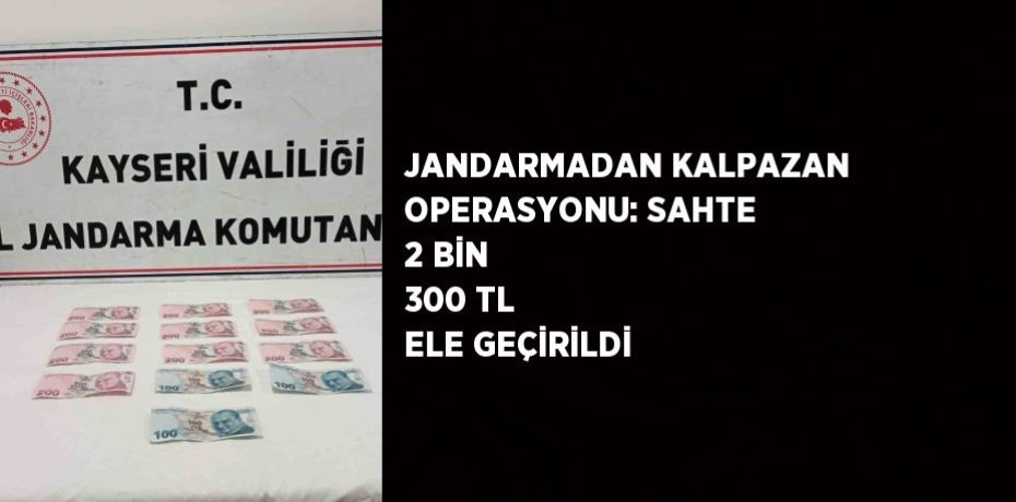 JANDARMADAN KALPAZAN OPERASYONU: SAHTE 2 BİN 300 TL ELE GEÇİRİLDİ