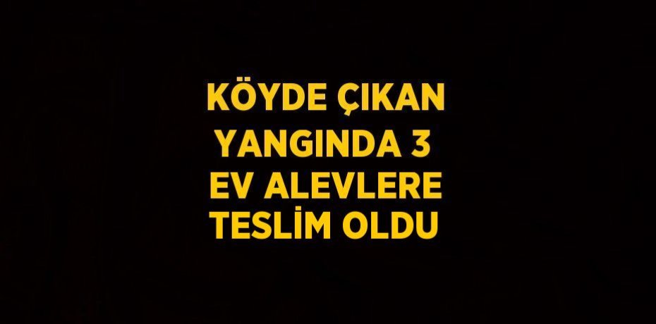 KÖYDE ÇIKAN YANGINDA 3 EV ALEVLERE TESLİM OLDU
