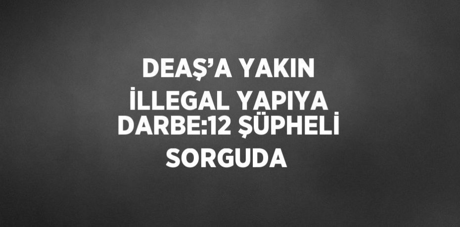 DEAŞ’A YAKIN İLLEGAL YAPIYA DARBE:12 ŞÜPHELİ SORGUDA