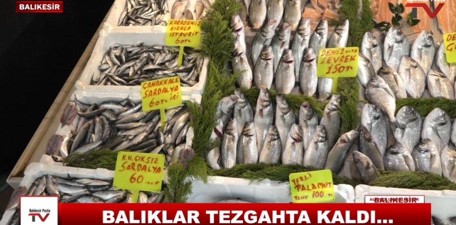 BALIKLAR TEZGAHTA KALDI.