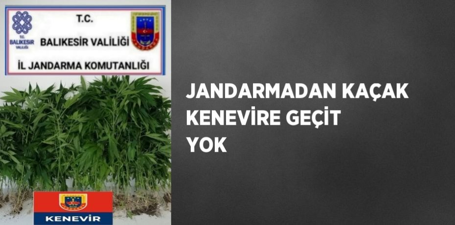 JANDARMADAN KAÇAK KENEVİRE GEÇİT YOK