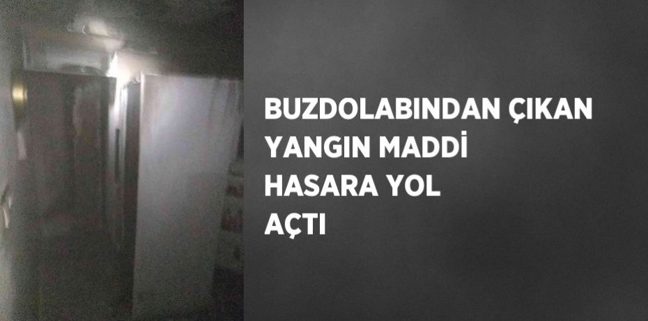 BUZDOLABINDAN ÇIKAN YANGIN MADDİ HASARA YOL AÇTI