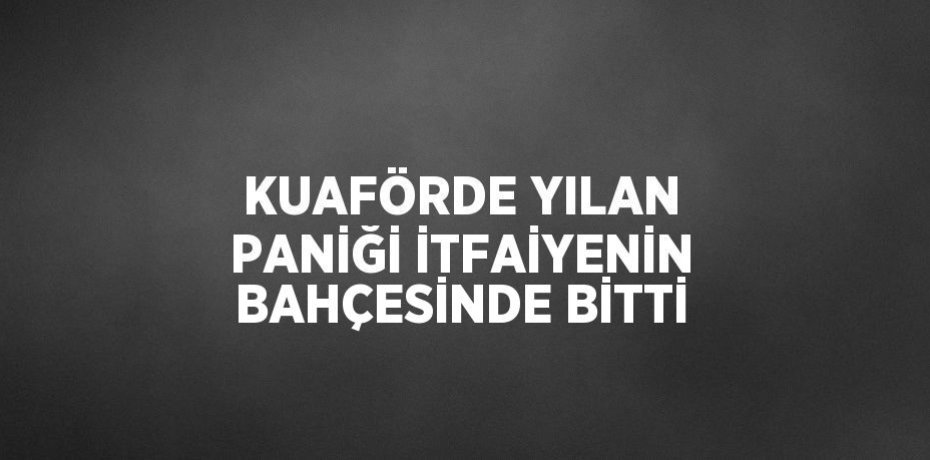 KUAFÖRDE YILAN PANİĞİ İTFAİYENİN BAHÇESİNDE BİTTİ