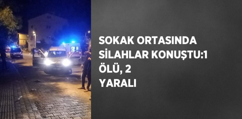 SOKAK ORTASINDA SİLAHLAR KONUŞTU:1 ÖLÜ, 2 YARALI