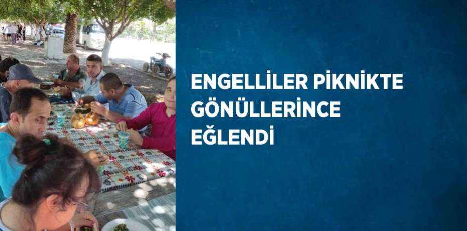 ENGELLİLER PİKNİKTE GÖNÜLLERİNCE EĞLENDİ