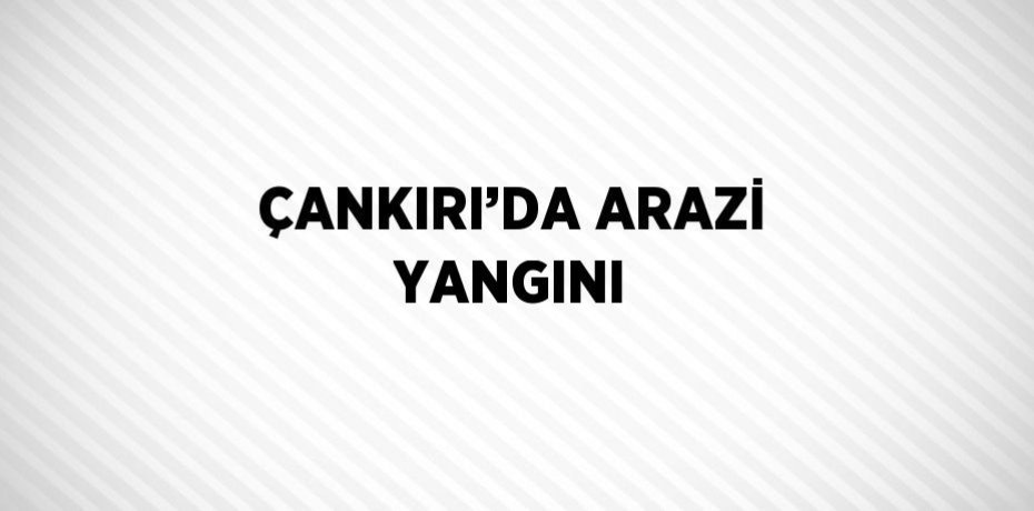ÇANKIRI’DA ARAZİ YANGINI