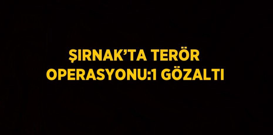 ŞIRNAK’TA TERÖR OPERASYONU:1 GÖZALTI