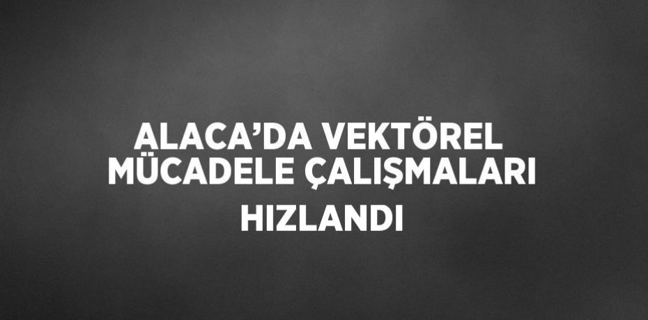 ALACA’DA VEKTÖREL MÜCADELE ÇALIŞMALARI HIZLANDI