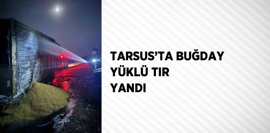 TARSUS’TA BUĞDAY YÜKLÜ TIR YANDI