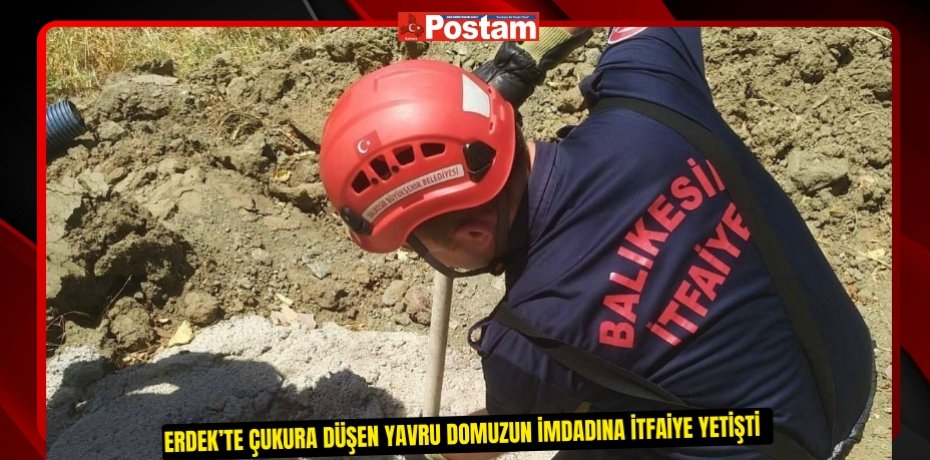 Erdek’te çukura düşen yavru domuzun imdadına itfaiye yetişti  