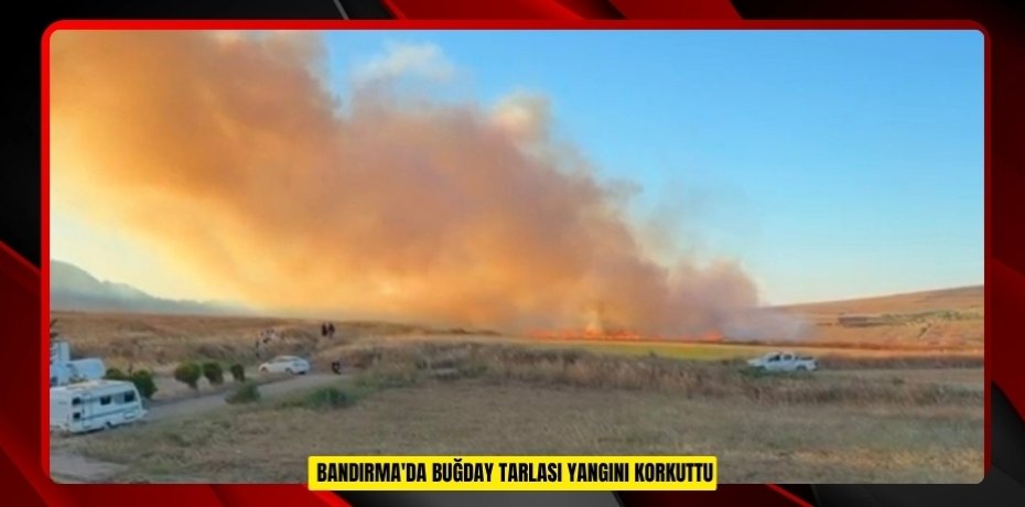 Bandırma'da buğday tarlası yangını korkuttu