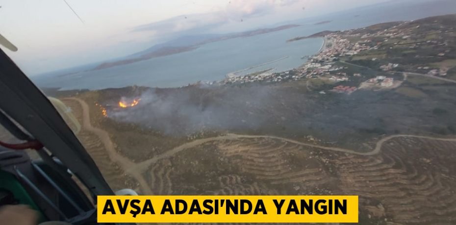 Avşa Adası'nda yangın