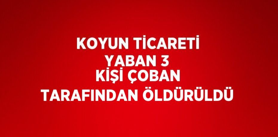 KOYUN TİCARETİ YABAN 3 KİŞİ ÇOBAN TARAFINDAN ÖLDÜRÜLDÜ