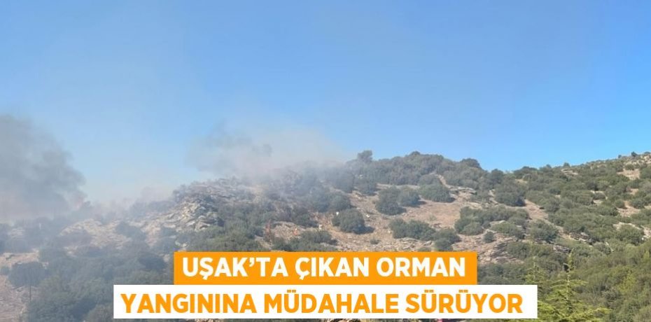 UŞAK’TA ÇIKAN ORMAN YANGININA MÜDAHALE SÜRÜYOR