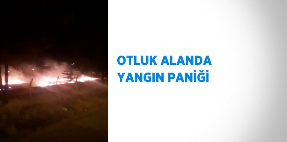OTLUK ALANDA YANGIN PANİĞİ