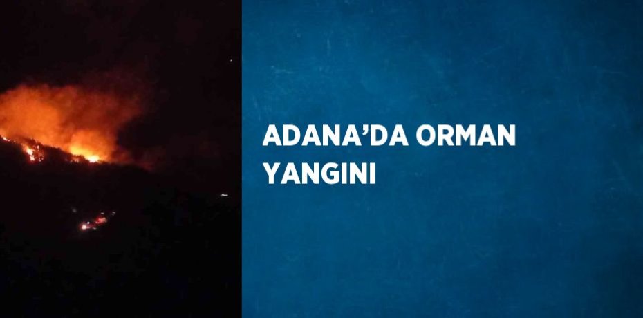 ADANA’DA ORMAN YANGINI