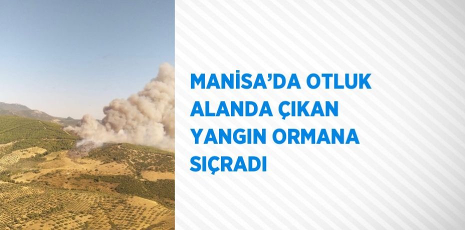 MANİSA’DA OTLUK ALANDA ÇIKAN YANGIN ORMANA SIÇRADI