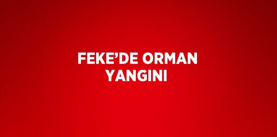 FEKE’DE ORMAN YANGINI