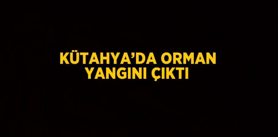 KÜTAHYA’DA ORMAN YANGINI ÇIKTI