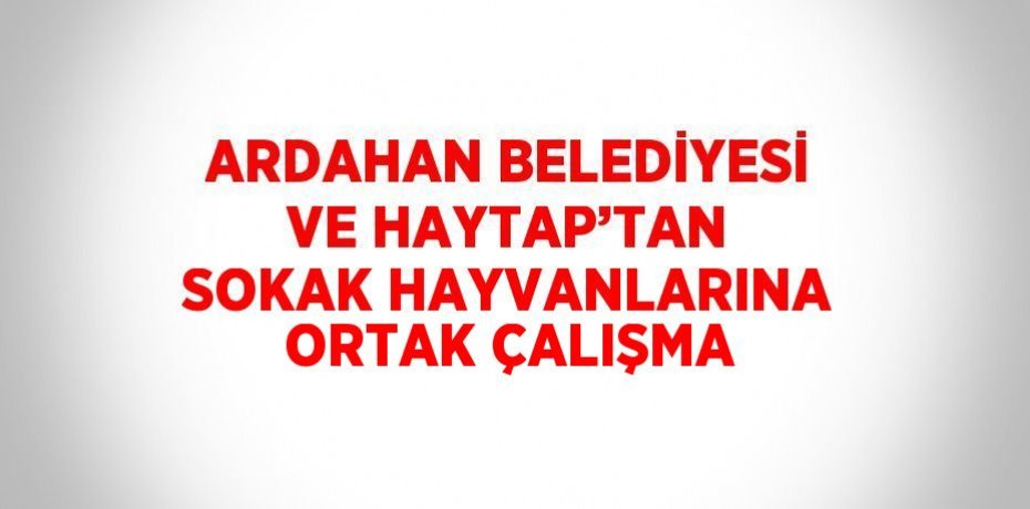 ARDAHAN BELEDİYESİ VE HAYTAP’TAN SOKAK HAYVANLARINA ORTAK ÇALIŞMA