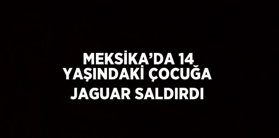 MEKSİKA’DA 14 YAŞINDAKİ ÇOCUĞA JAGUAR SALDIRDI